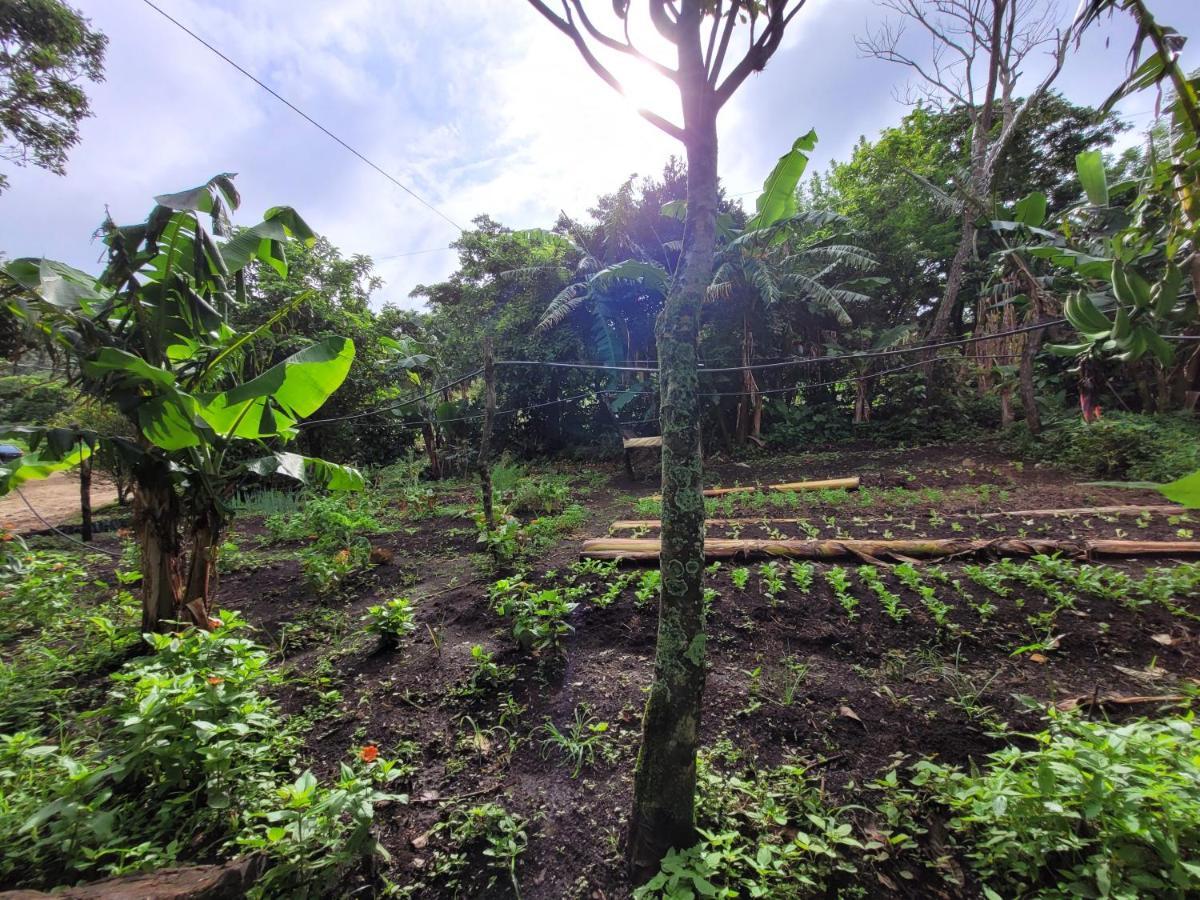 Granja Los Campesinos Monteverde Exteriör bild